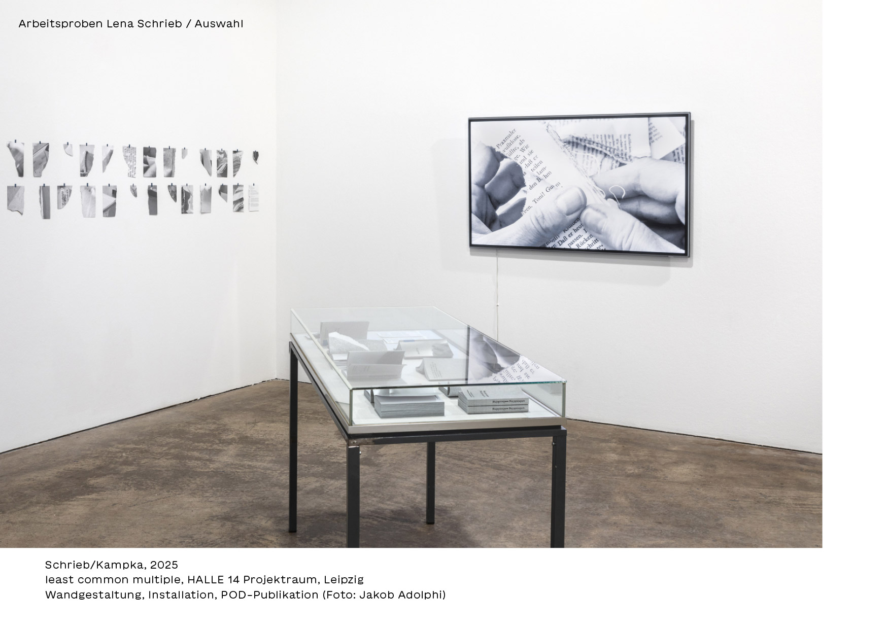 Portfolio Lena Schrieb, 2026